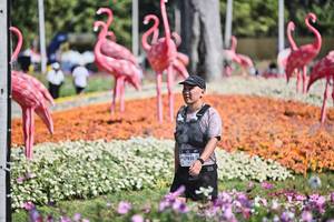 BIB: 
                            <button type="button" onclick="openModal(27793106)" class="btn btn-primary btn-sm float-right btn-popup" data-toggle="modal" data-target=".modal-high-quality">
                        <i class="fas fa-shopping-cart"></i> Add to Cart
                    </button>
                                            <button type="button" onclick="isThisMe(27793106, true)" class="btn btn-success btn-sm float-right btn-popup btn-isme hidden" data-toggle="tooltip" data-placement="bottom" title="นี่คือรูปของคุณใช่ไหม คลิกที่นี่เพื่อเอาเข้าอัลบั้ม">
                        <i class="fas fa-plus"></i> Add to album
                    </button>
                    <button type="button" onclick="isThisMe(27793106, false)" class="btn btn-warning btn-sm float-right btn-popup btn-isnotme hidden">
                        <i class="fas fa-ban"></i> Remove from album
                    </button>